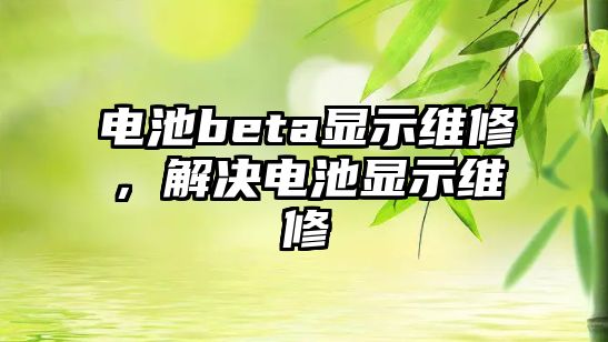 電池beta顯示維修，解決電池顯示維修