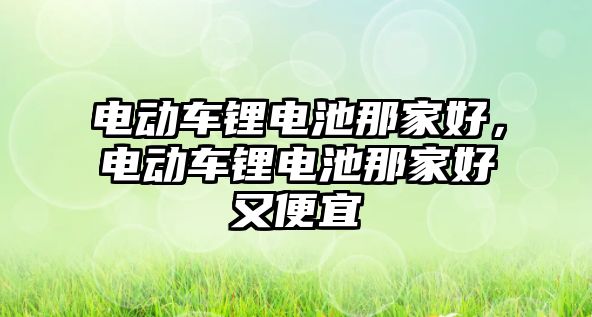 電動車鋰電池那家好，電動車鋰電池那家好又便宜