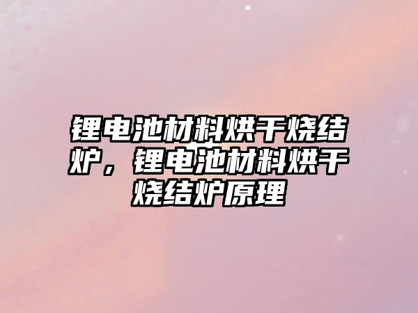 鋰電池材料烘干燒結爐，鋰電池材料烘干燒結爐原理