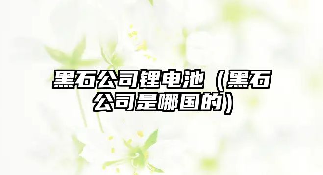 黑石公司鋰電池（黑石公司是哪國的）