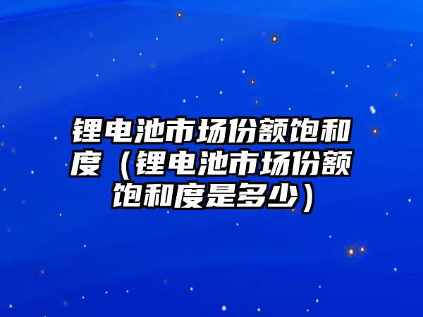 鋰電池市場份額飽和度（鋰電池市場份額飽和度是多少）