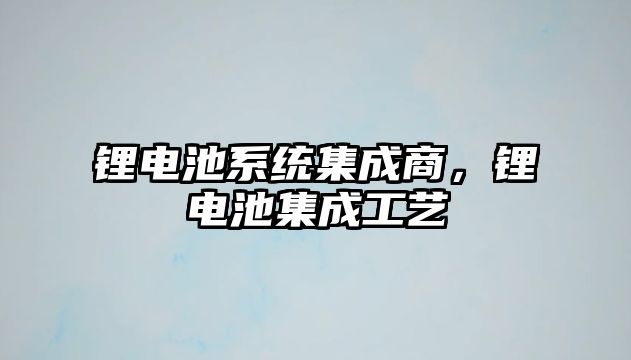 鋰電池系統集成商，鋰電池集成工藝