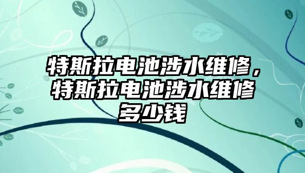 特斯拉電池涉水維修，特斯拉電池涉水維修多少錢