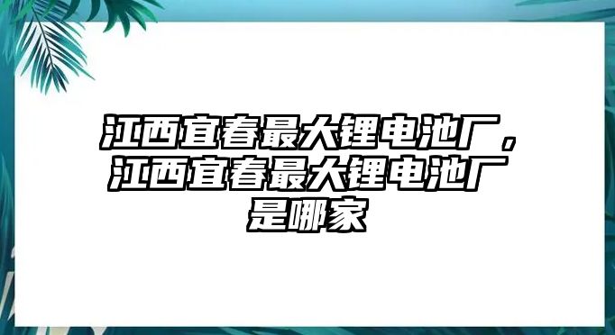 江西宜春最大鋰電池廠，江西宜春最大鋰電池廠是哪家