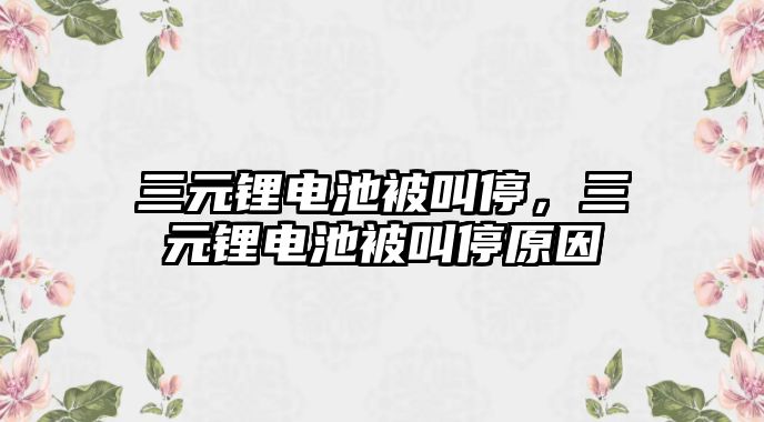 三元鋰電池被叫停，三元鋰電池被叫停原因