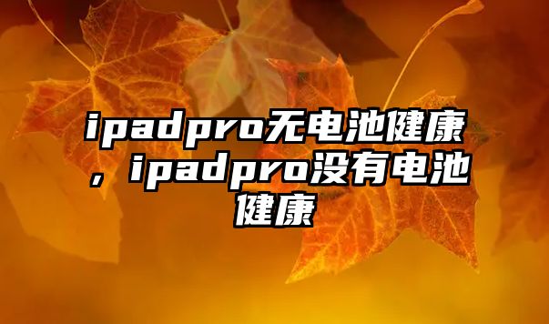 ipadpro無電池健康，ipadpro沒有電池健康