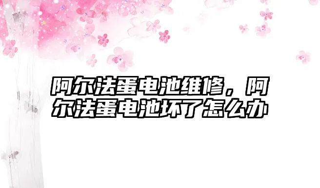 阿爾法蛋電池維修，阿爾法蛋電池壞了怎么辦