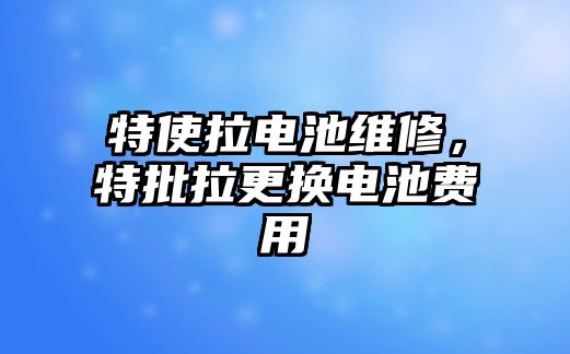 特使拉電池維修，特批拉更換電池費用