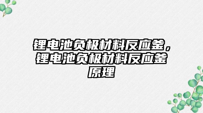 鋰電池負極材料反應釜，鋰電池負極材料反應釜原理