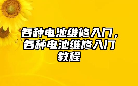 各種電池維修入門，各種電池維修入門教程