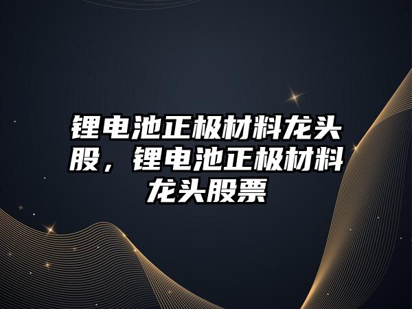 鋰電池正極材料龍頭股，鋰電池正極材料龍頭股票