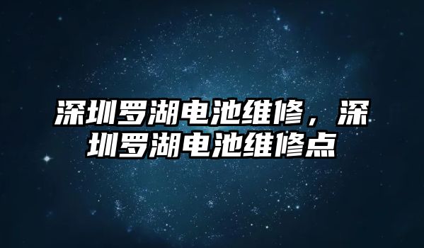 深圳羅湖電池維修，深圳羅湖電池維修點(diǎn)