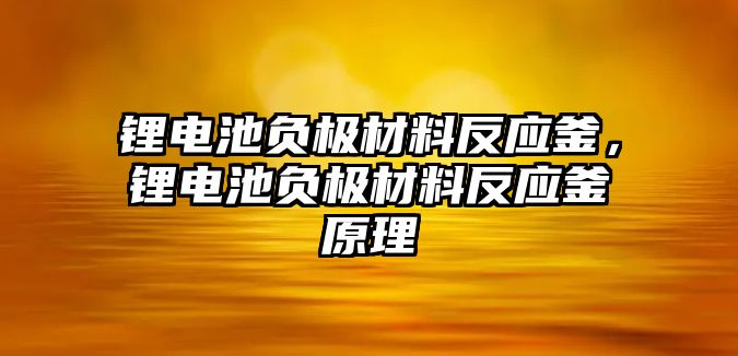 鋰電池負極材料反應釜，鋰電池負極材料反應釜原理