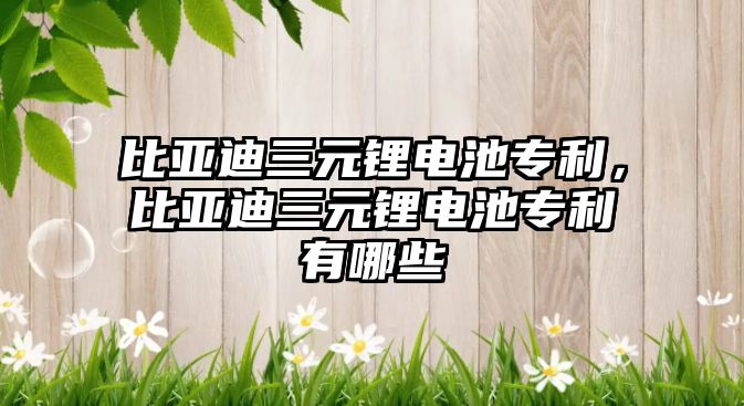 比亞迪三元鋰電池專利，比亞迪三元鋰電池專利有哪些