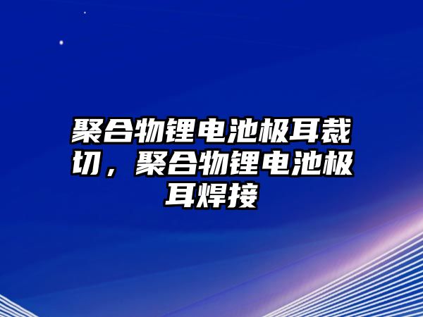 聚合物鋰電池極耳裁切，聚合物鋰電池極耳焊接