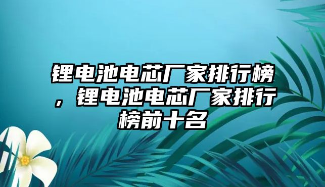 鋰電池電芯廠家排行榜，鋰電池電芯廠家排行榜前十名