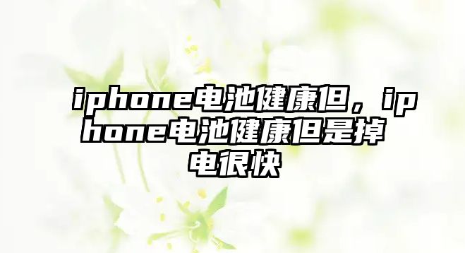 iphone電池健康但，iphone電池健康但是掉電很快