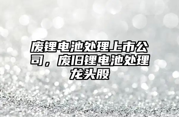 廢鋰電池處理上市公司，廢舊鋰電池處理龍頭股