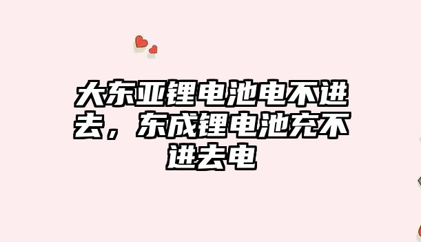 大東亞鋰電池電不進去，東成鋰電池充不進去電