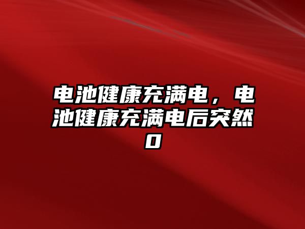 電池健康充滿電，電池健康充滿電后突然0