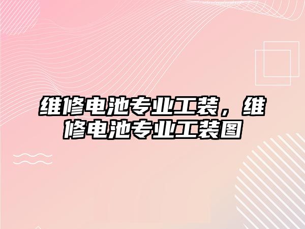 維修電池專業工裝，維修電池專業工裝圖