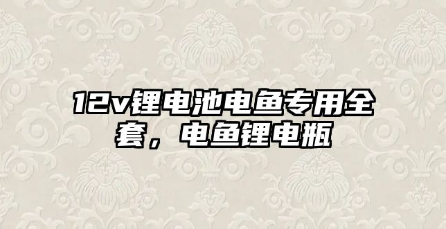 12v鋰電池電魚專用全套，電魚鋰電瓶