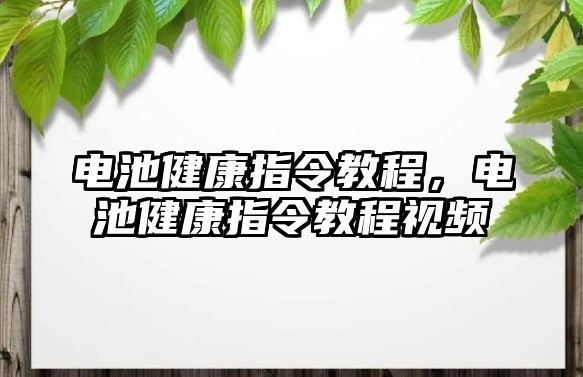 電池健康指令教程，電池健康指令教程視頻