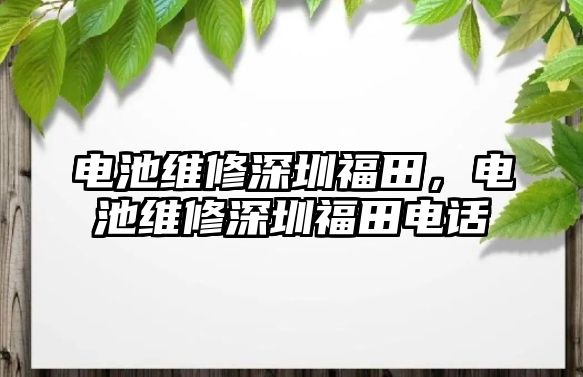 電池維修深圳福田，電池維修深圳福田電話