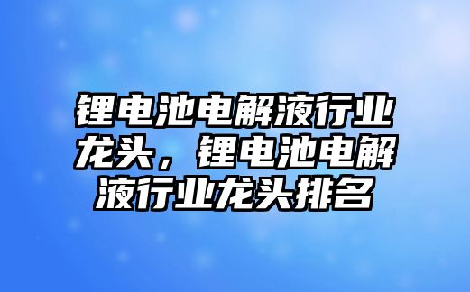 鋰電池電解液行業龍頭，鋰電池電解液行業龍頭排名