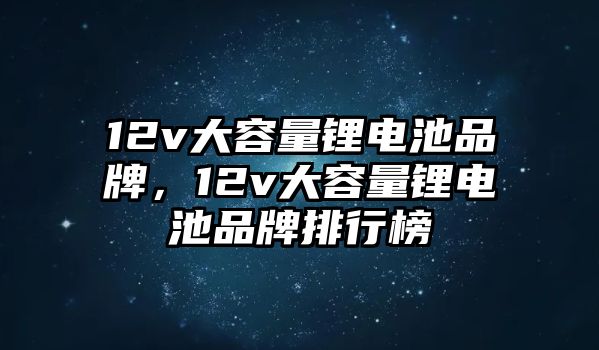 12v大容量鋰電池品牌，12v大容量鋰電池品牌排行榜