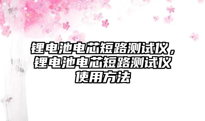 鋰電池電芯短路測(cè)試儀，鋰電池電芯短路測(cè)試儀使用方法