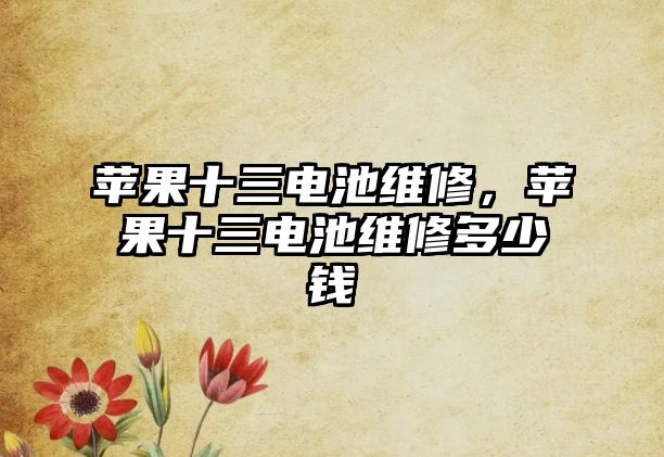 蘋果十三電池維修，蘋果十三電池維修多少錢