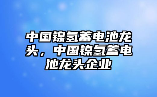 中國(guó)鎳氫蓄電池龍頭，中國(guó)鎳氫蓄電池龍頭企業(yè)