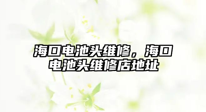 海口電池頭維修，海口電池頭維修店地址