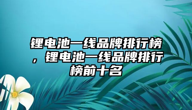 鋰電池一線品牌排行榜，鋰電池一線品牌排行榜前十名