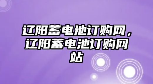 遼陽蓄電池訂購網(wǎng)，遼陽蓄電池訂購網(wǎng)站