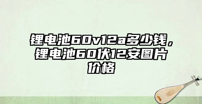 鋰電池60v12a多少錢，鋰電池60伏12安圖片價格