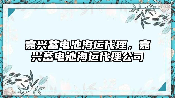 嘉興蓄電池海運(yùn)代理，嘉興蓄電池海運(yùn)代理公司