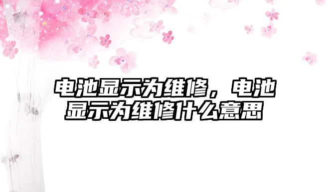 電池顯示為維修，電池顯示為維修什么意思