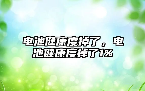 電池健康度掉了，電池健康度掉了1%