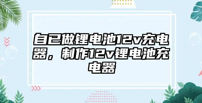 自已做鋰電池12v充電器，制作12v鋰電池充電器