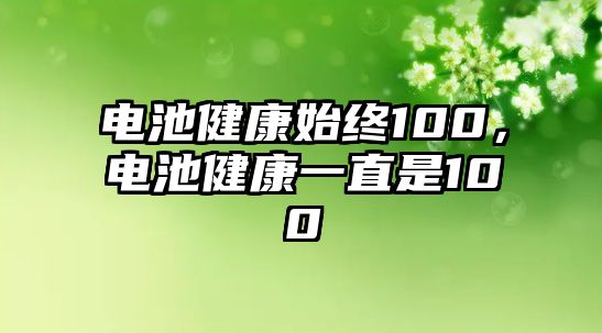 電池健康始終100，電池健康一直是100