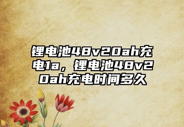 鋰電池48v20ah充電1a，鋰電池48v20ah充電時間多久