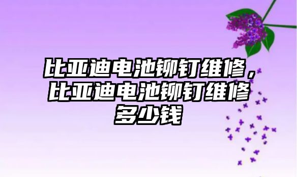 比亞迪電池鉚釘維修，比亞迪電池鉚釘維修多少錢