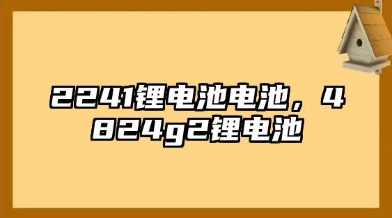 2241鋰電池電池，4824g2鋰電池