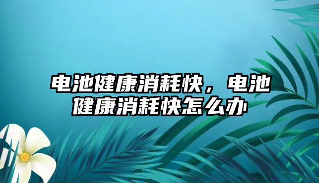 電池健康消耗快，電池健康消耗快怎么辦