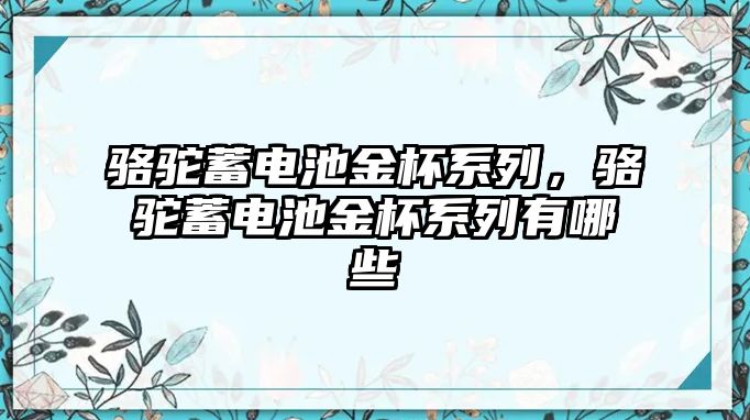 駱駝蓄電池金杯系列，駱駝蓄電池金杯系列有哪些