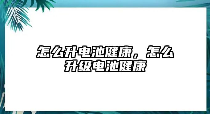 怎么升電池健康，怎么升級(jí)電池健康