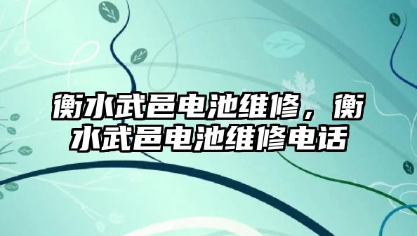 衡水武邑電池維修，衡水武邑電池維修電話