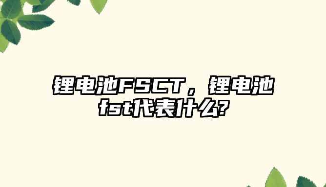 鋰電池FSCT，鋰電池fst代表什么?